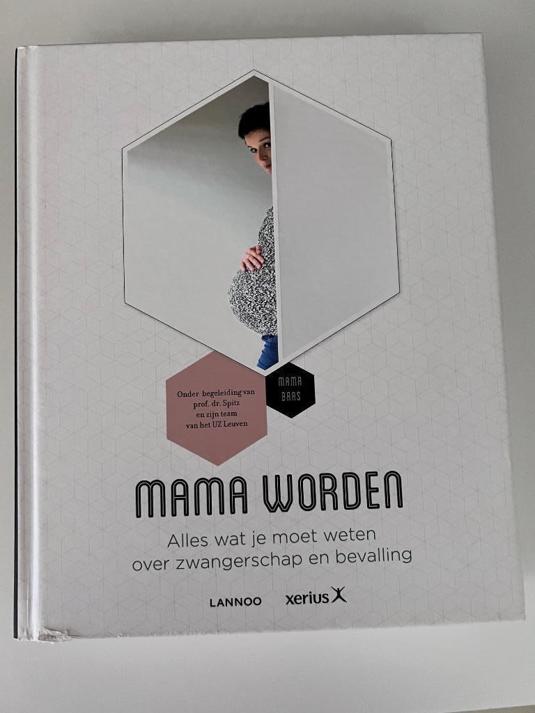 Mama Worden - mama baas, Boeken, Gelezen, Zwangerschap en Bevalling, Ophalen of Verzenden, Lannoo Campus