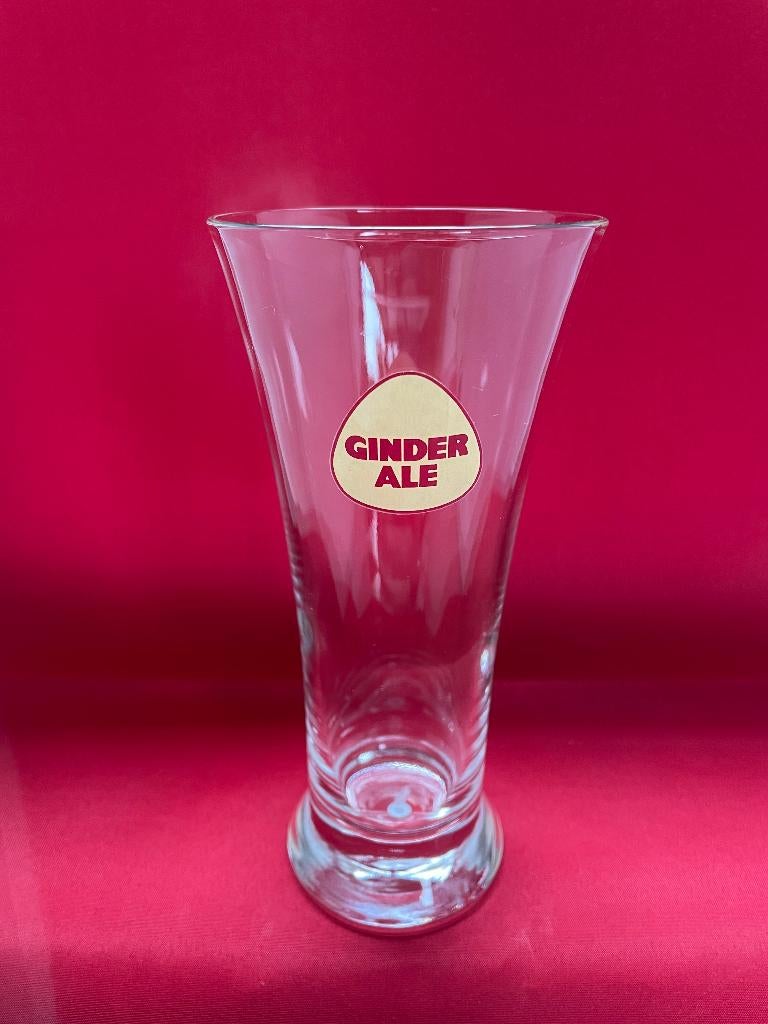 verre à bière Ginder Ale Martinas, Collections, Enlèvement ou Envoi, Utilisé, Verre à bière