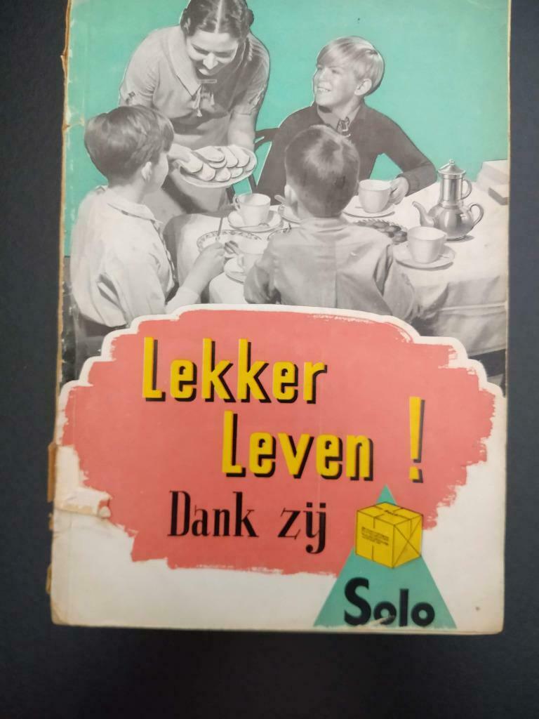 Lekker leven dank zij solo, Boeken, Kookboeken, Ophalen of Verzenden, Gelezen