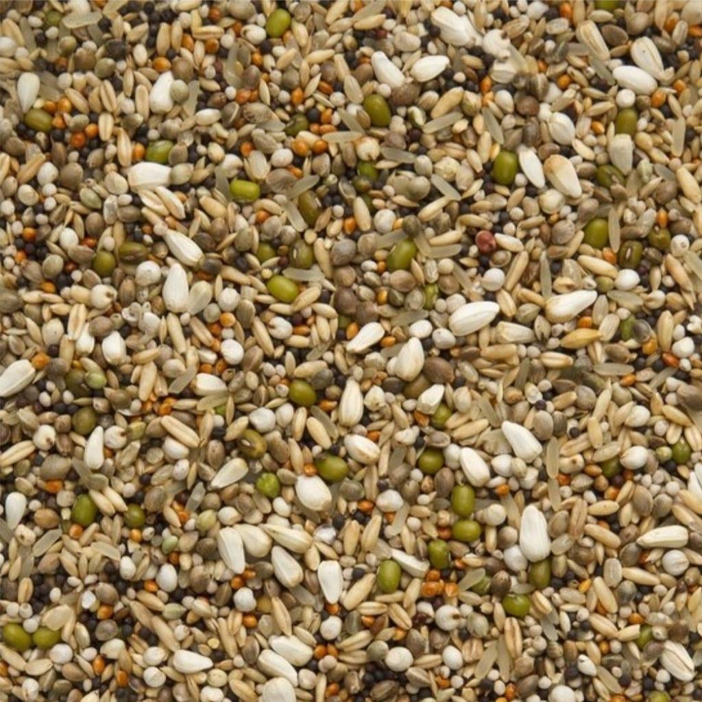 Premium Snoepzaad Exclusief 20 kg - Beyers, Dieren en Toebehoren, Dierenvoeding, Ophalen