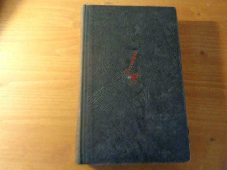 De geschiedenis van het geslacht Bjorndal, Trygve Gulbransse, Boeken, Gelezen