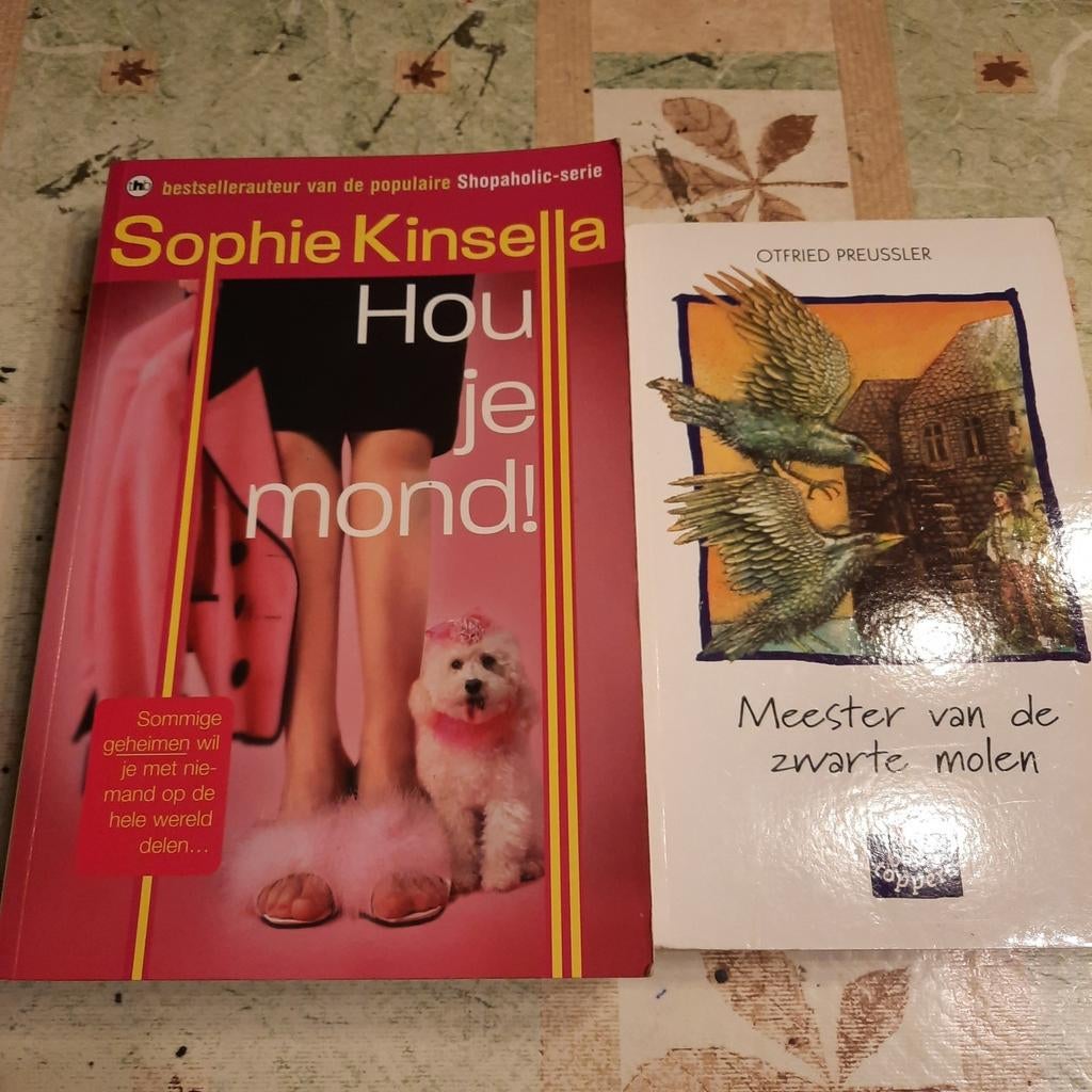 Sophie kinsella.bruidsmeisje.lisy.sybil en andere, Ophalen