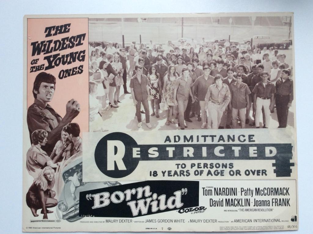 Born Wild - Original lobby card 1968, Enlèvement ou Envoi, Rectangulaire horizontal, A1 jusqu'à A3, Utilisé