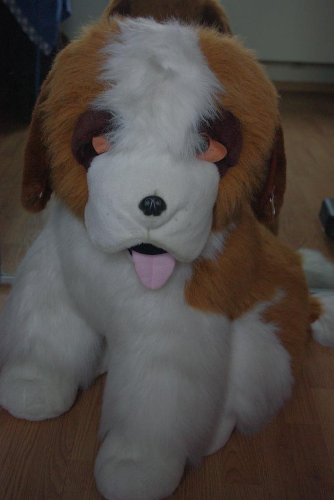 Grote knuffel van St. Bernard, Ophalen of Verzenden, Gebruikt, Overige typen