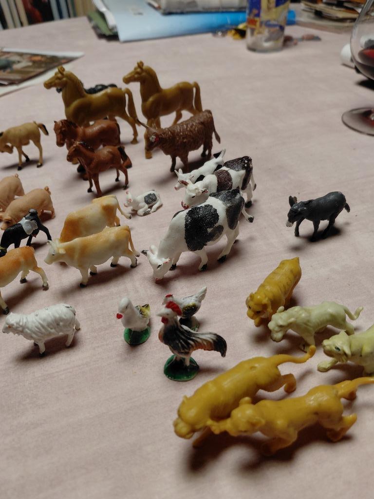 Boerderijdieren, Enlèvement ou Envoi, Utilisé