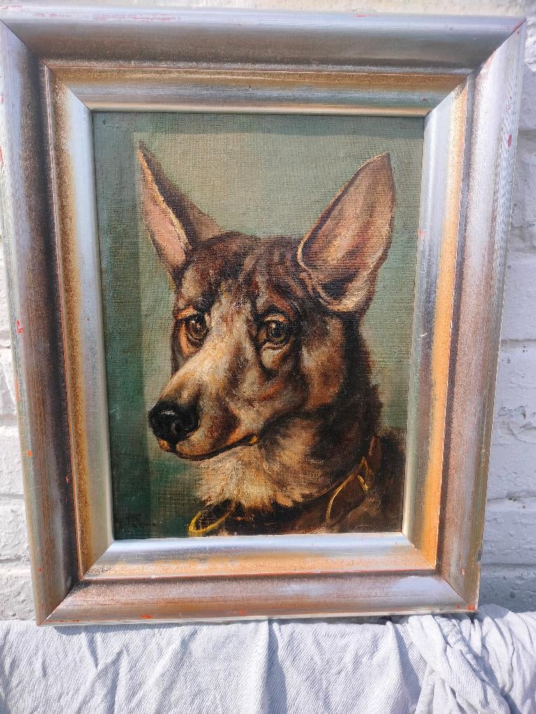 Hond portret, Ophalen of Verzenden