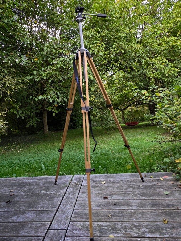 Support en bois vintage, Autres culots, Vintage, Utilisé, Bois