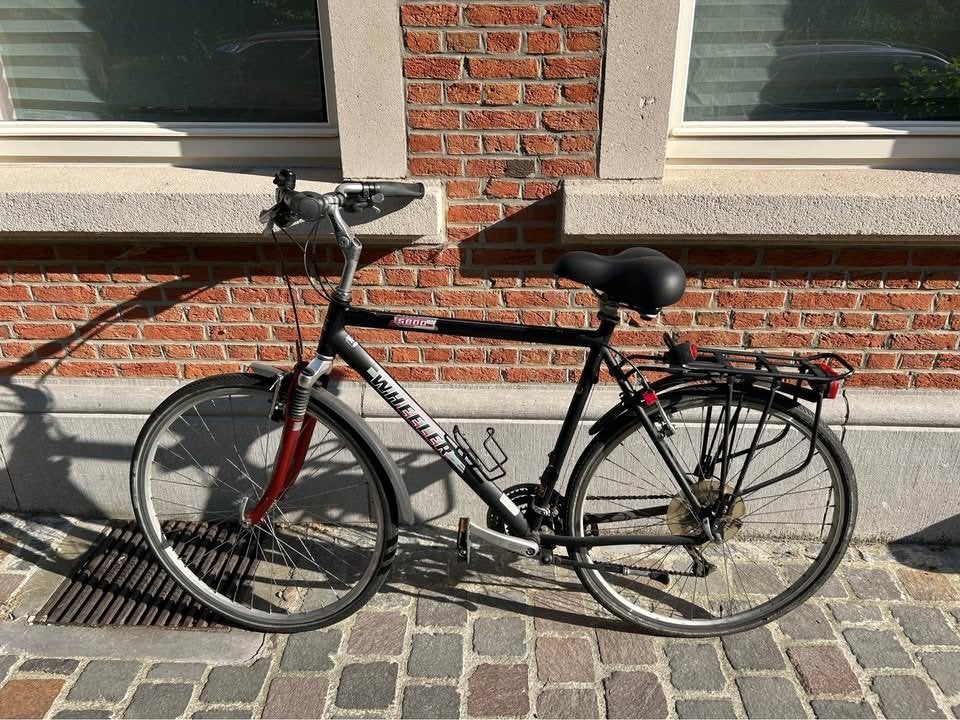 Vélo, Vélos & Vélomoteurs, Enlèvement, Utilisé, Autres marques
