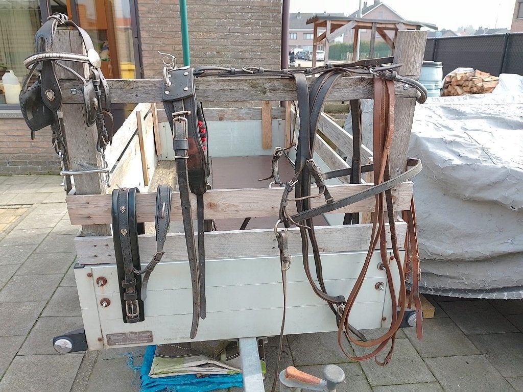 Getuig, Animaux & Accessoires, Chevaux & Poneys | Brides & Harnachement, Utilisé, Harnais d'attelage, Loisir, Autres marques, Mors inclus