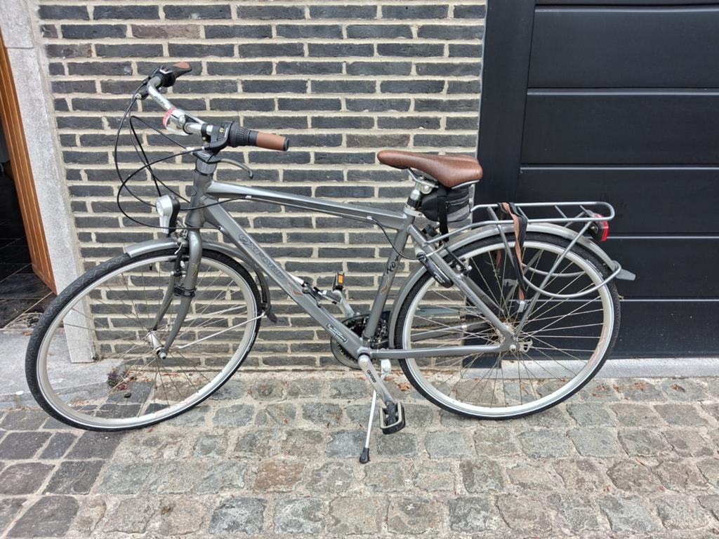 Mannenfiets, Fietsen en Brommers, Fietsen | Dames | Damesfietsen, Ophalen, Versnellingen