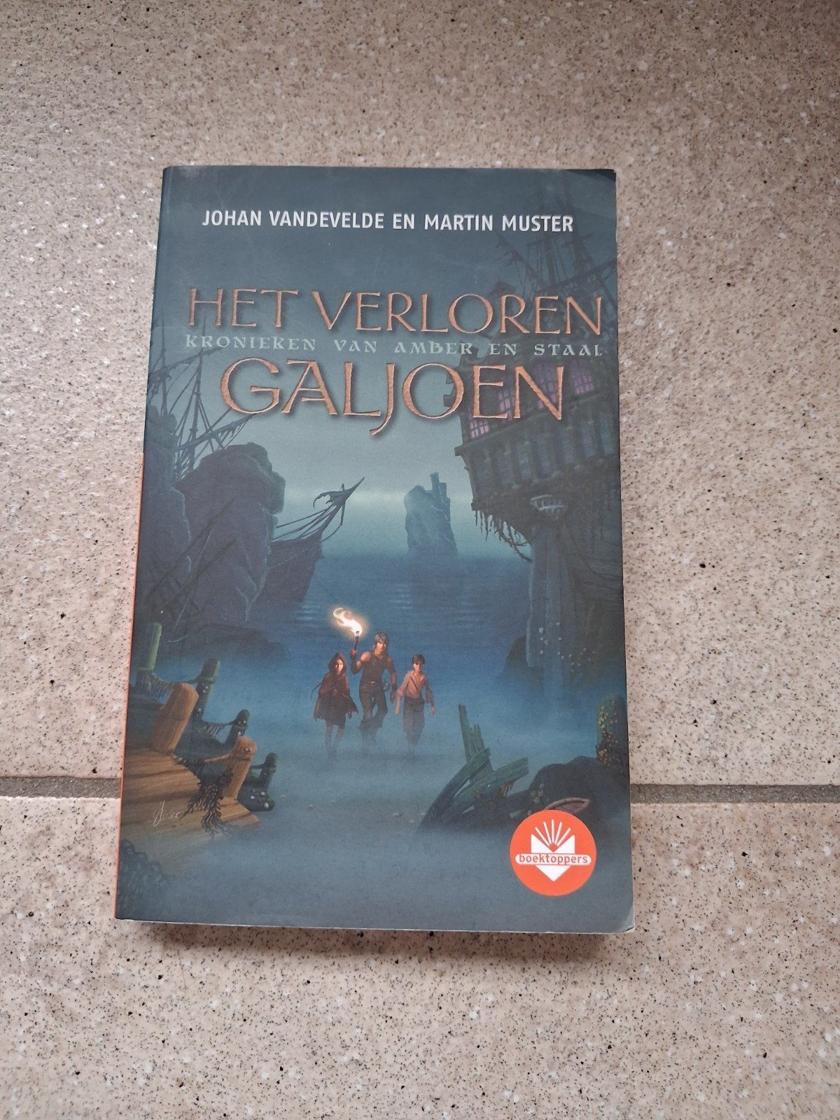 Het verloren Galjoen  leesboek, Boeken, Ophalen of Verzenden, Zo goed als nieuw, Johan Vandevelde