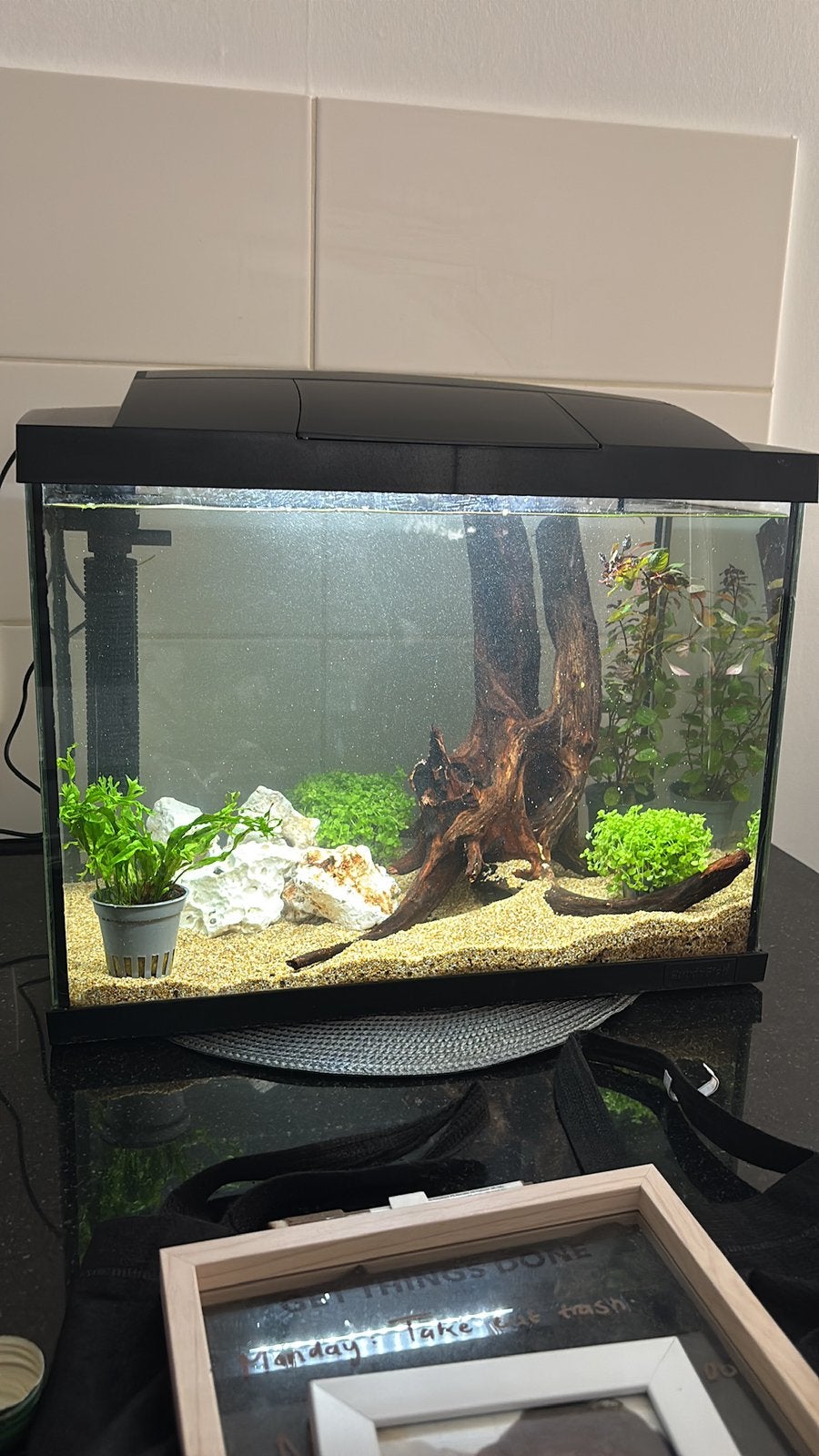 Aquarium voor beginners, Dieren en Toebehoren, Ophalen, Pomp, Gebruikt, Leeg aquarium