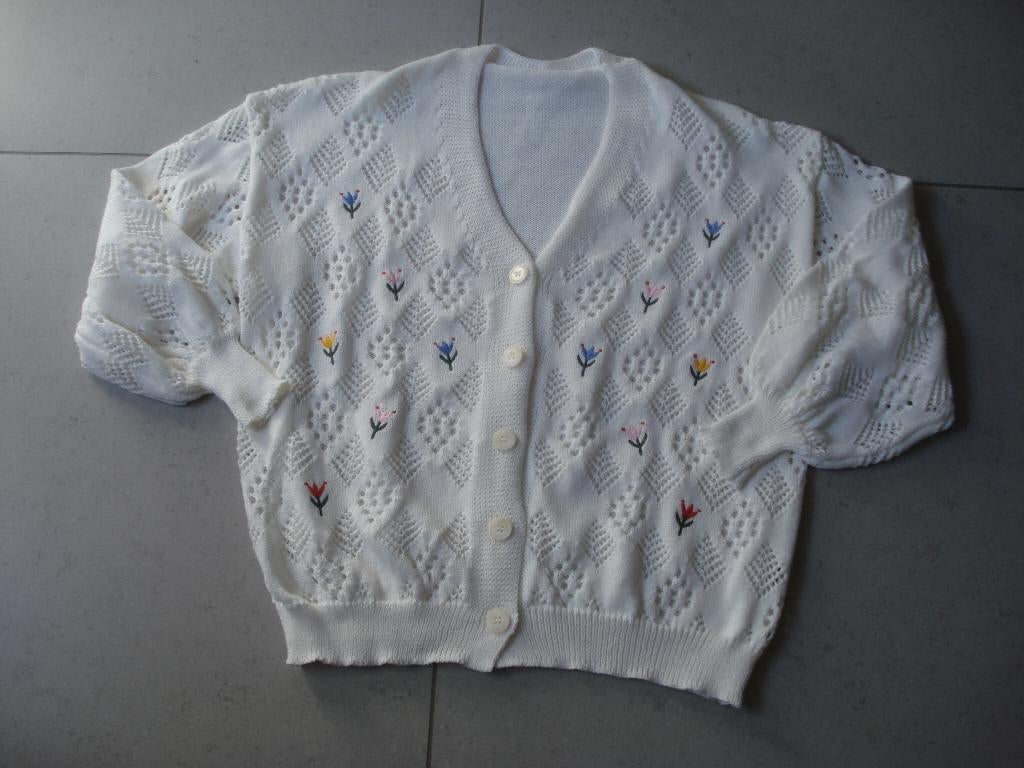 Nieuwe Dazy gilet, dames. mt M, Neuf, Taille 38/40 (M), Enlèvement ou Envoi, Blanc