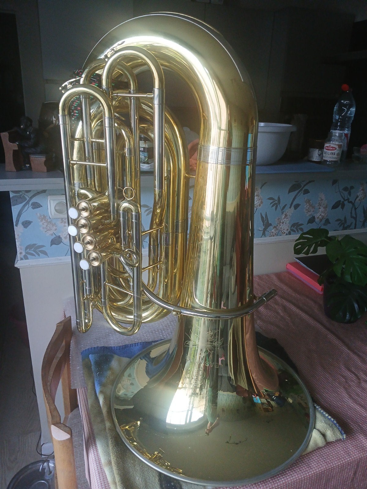 Bastuba sib Eastman EBB524, Ophalen, Gebruikt, Tuba in si bemol, Met koffer of draagtas