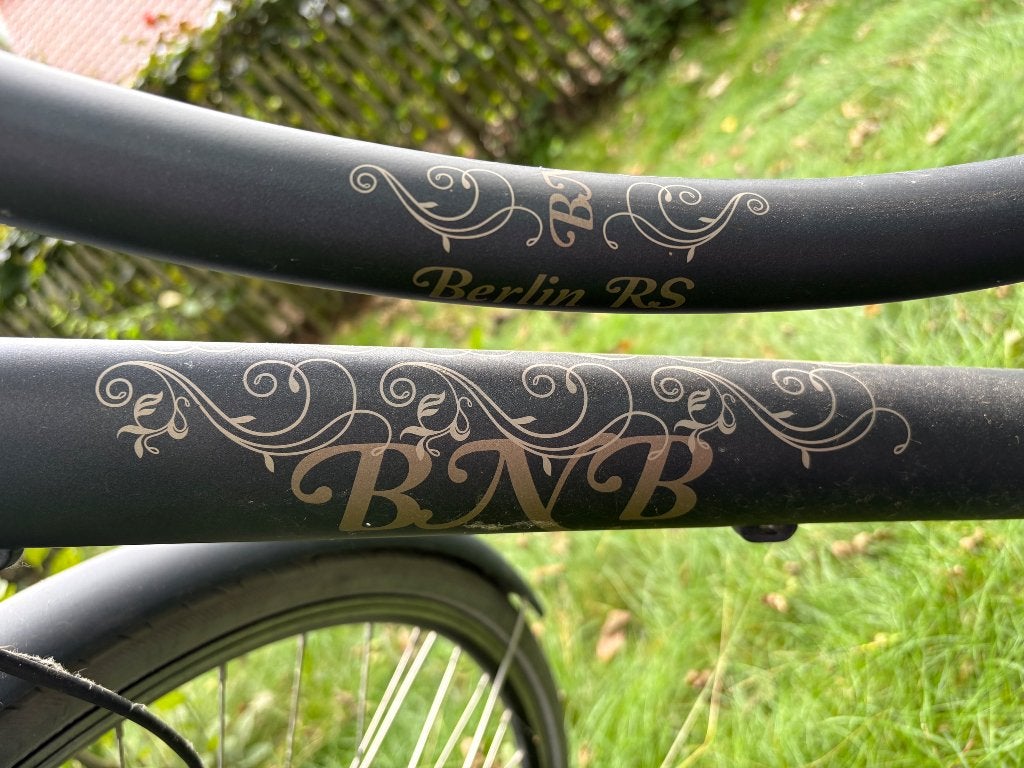 Damesfiets, Ophalen, Zo goed als nieuw, Overige merken, Versnellingen
