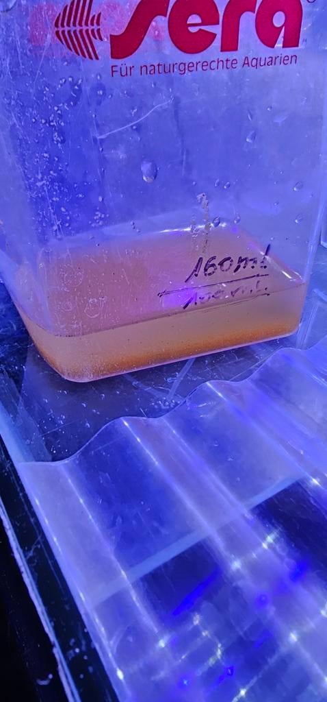 Verse artemia (baby brine shrimp), Enlèvement