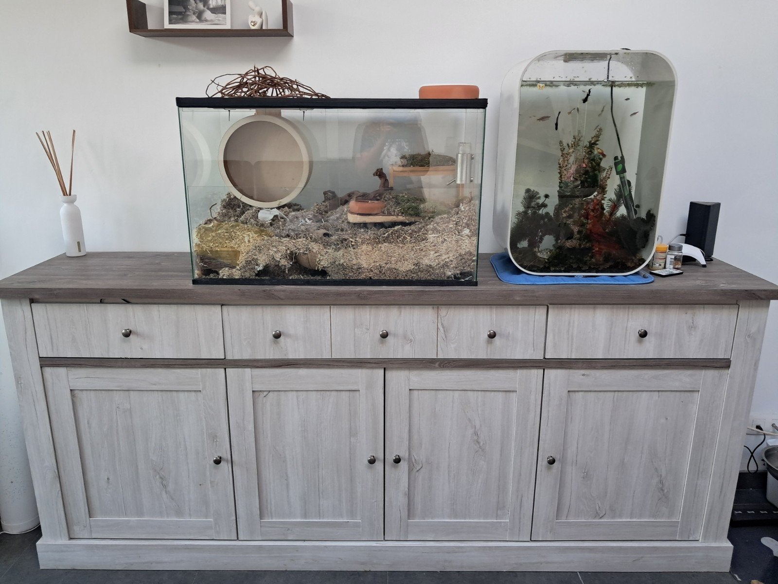 dressoir, Enlèvement