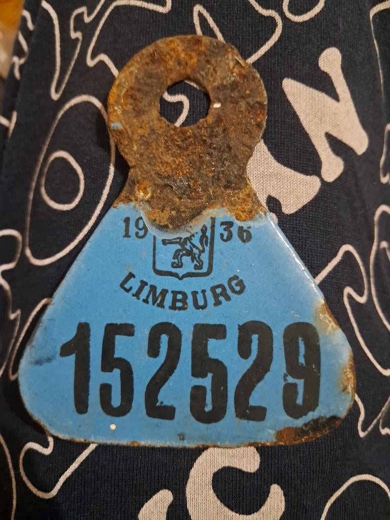 Plaque vélo émaillée 1936, Enlèvement