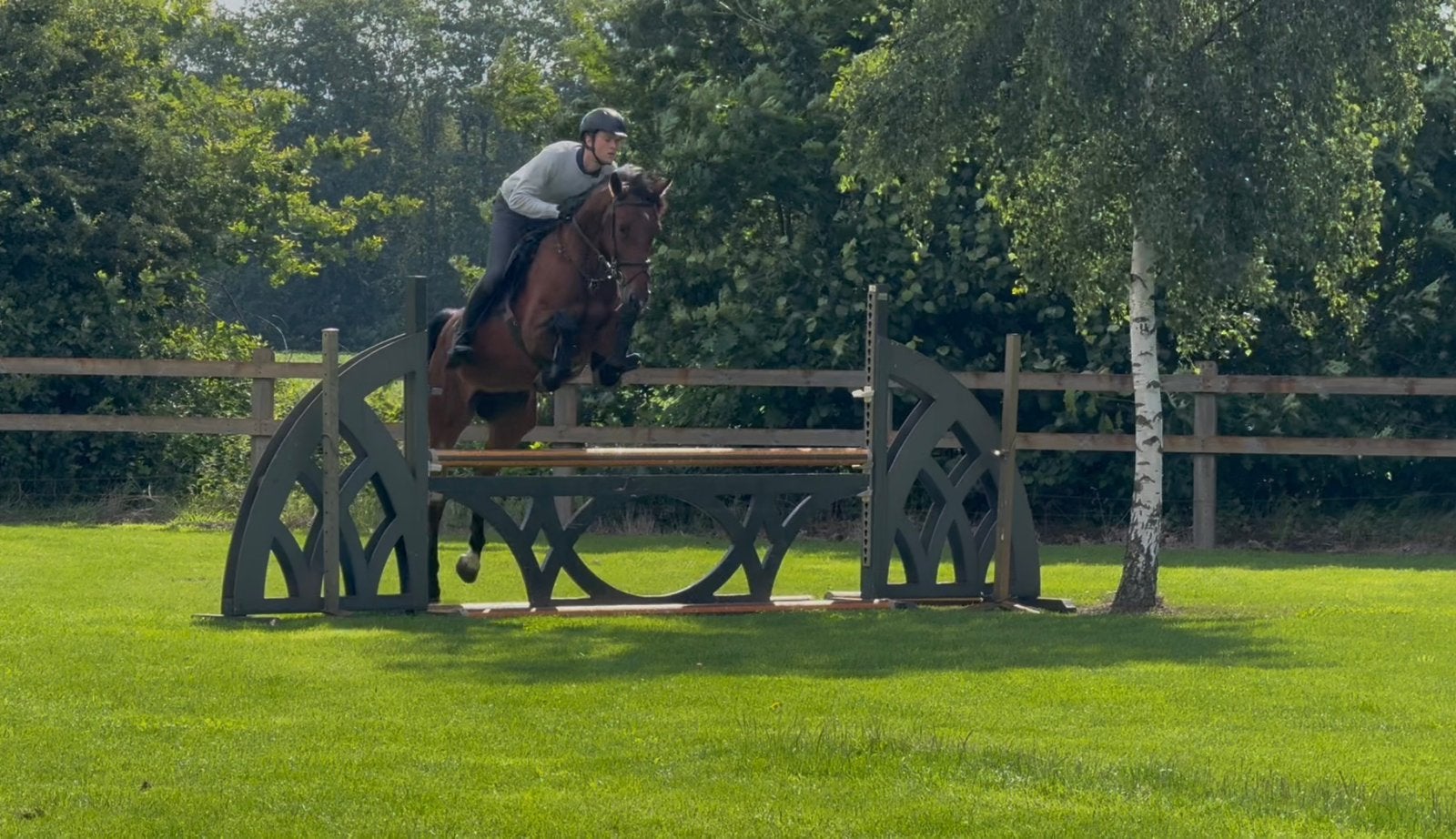 Leuke 4 jarige merrie/ paard / springpaard te koop, Dieren en Toebehoren, Paarden, Merrie, B, 160 tot 165 cm, 3 tot 6 jaar, Springpaard