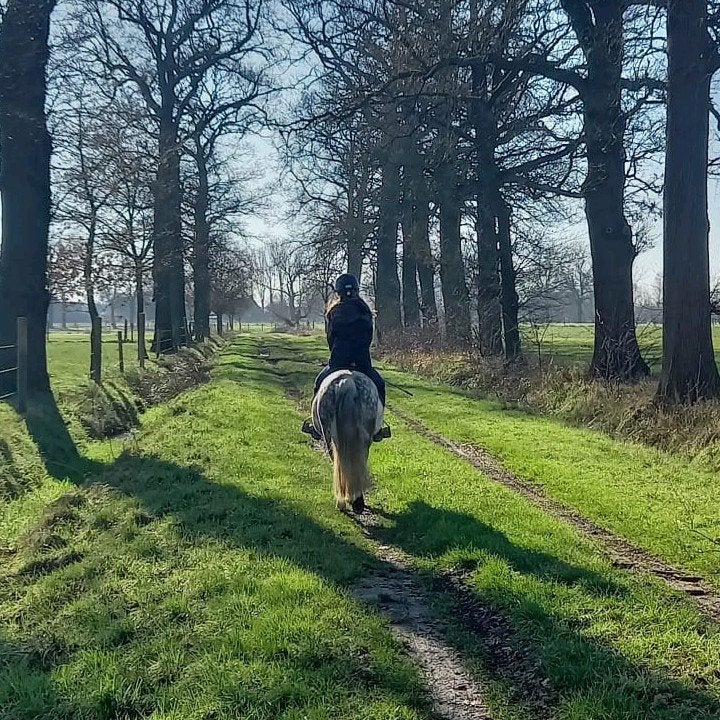 Verzorgpaardje gezocht