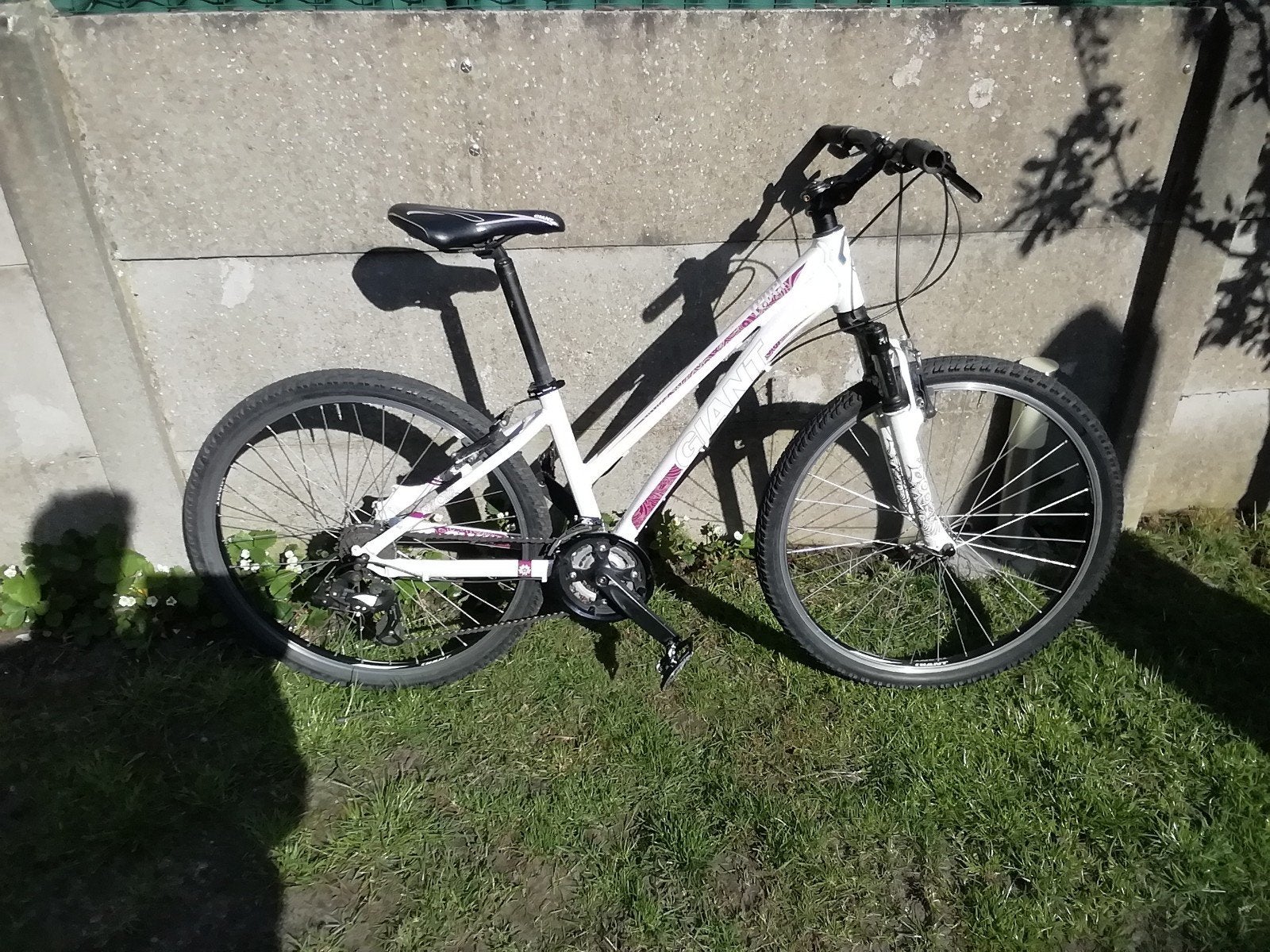 Giant vrouwenfiets, Ophalen