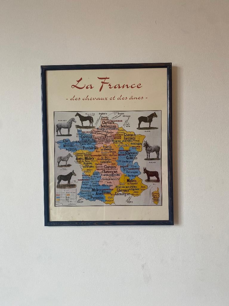 Kader print/poster kaart Frankrijk paarden en muilezels, Ophalen of Verzenden, Voor 1920, Ongelopen, Paard