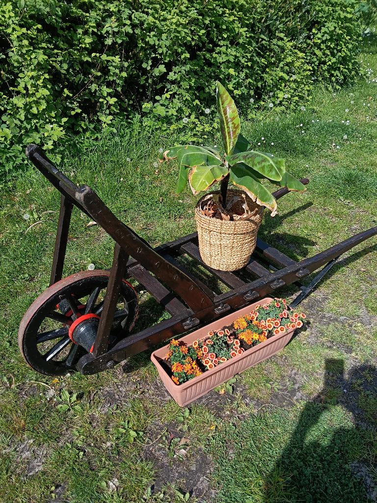 Antieke kruiwagen, Antiek en Kunst, Ophalen