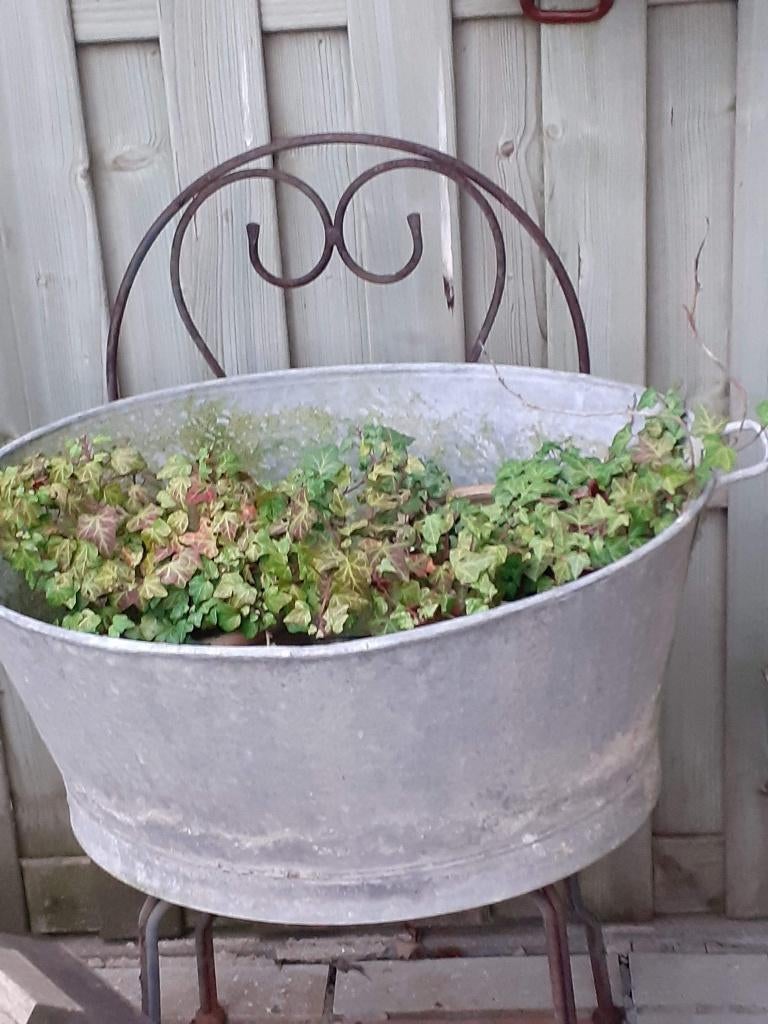 verzinkt bad of plantenbak, Tuin en Terras, Ophalen, Gebruikt, Minder dan 60 cm, Rond