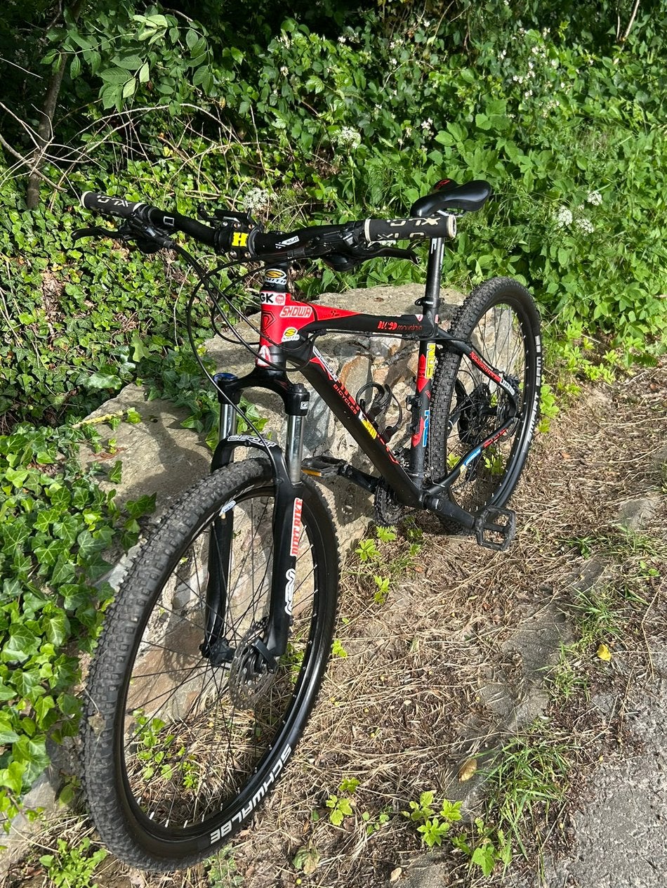 VTT, Autres marques, Enlèvement, Utilisé, Moins de 45 cm