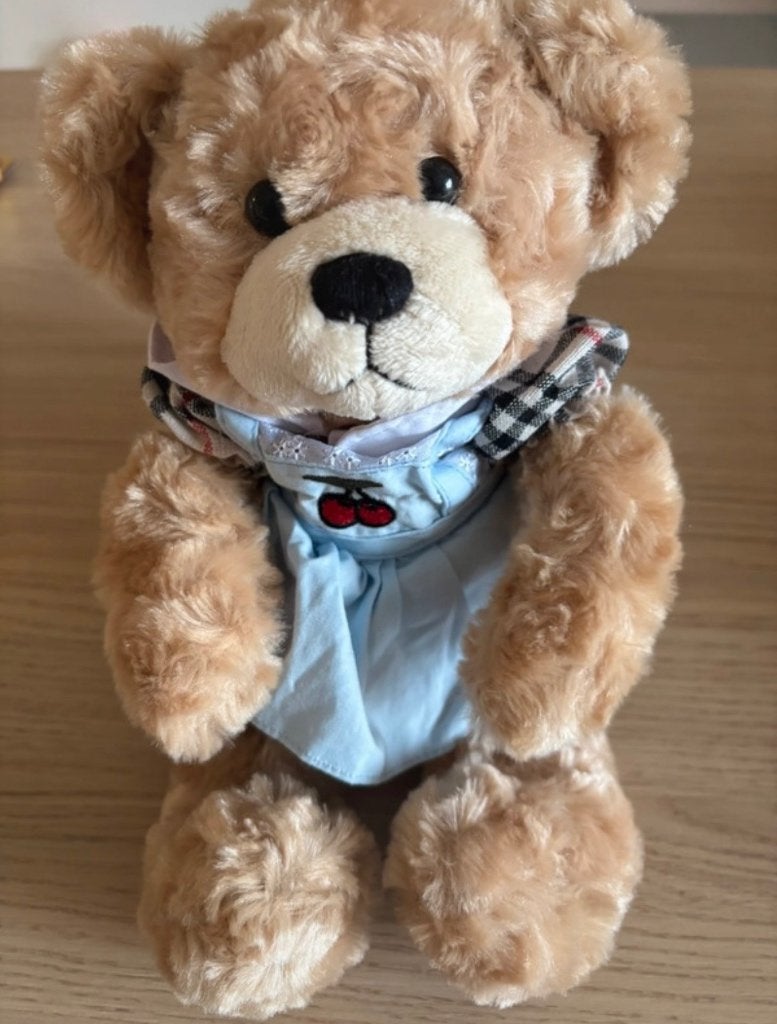 Joli ours en peluche avec robe bleue, Enlèvement ou Envoi, Avec vêtements ou accessoires, Ours, Petit (moins de 20 cm)
