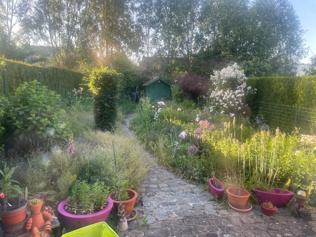 Hulp tuin, Tuin en Terras, Ophalen