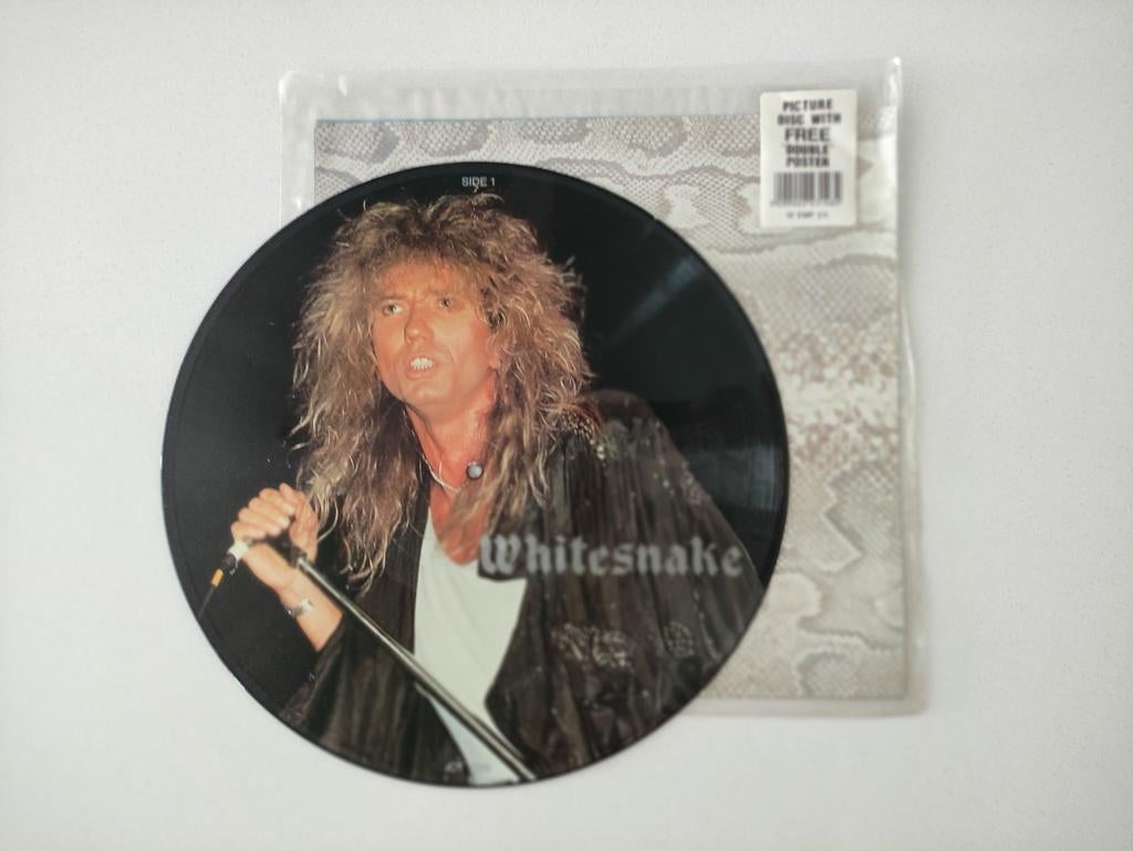 Whitesnake Give me all your love, picture disc, Picture disc, Ophalen of Verzenden