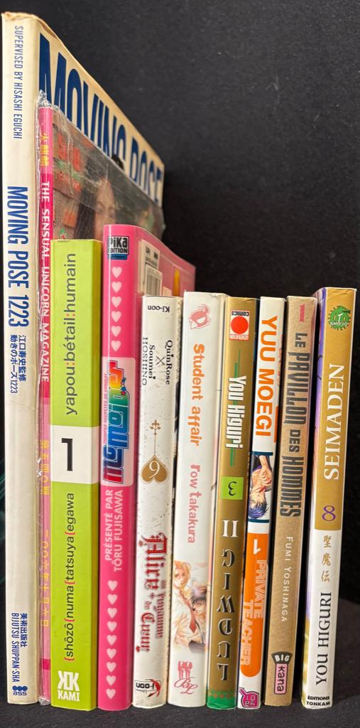 MANGA, Lot van 10 items - Fr/Eng/Japans, Boeken, Ophalen of Verzenden, Zo goed als nieuw, Meerdere stripboeken, Diverse Auteurs