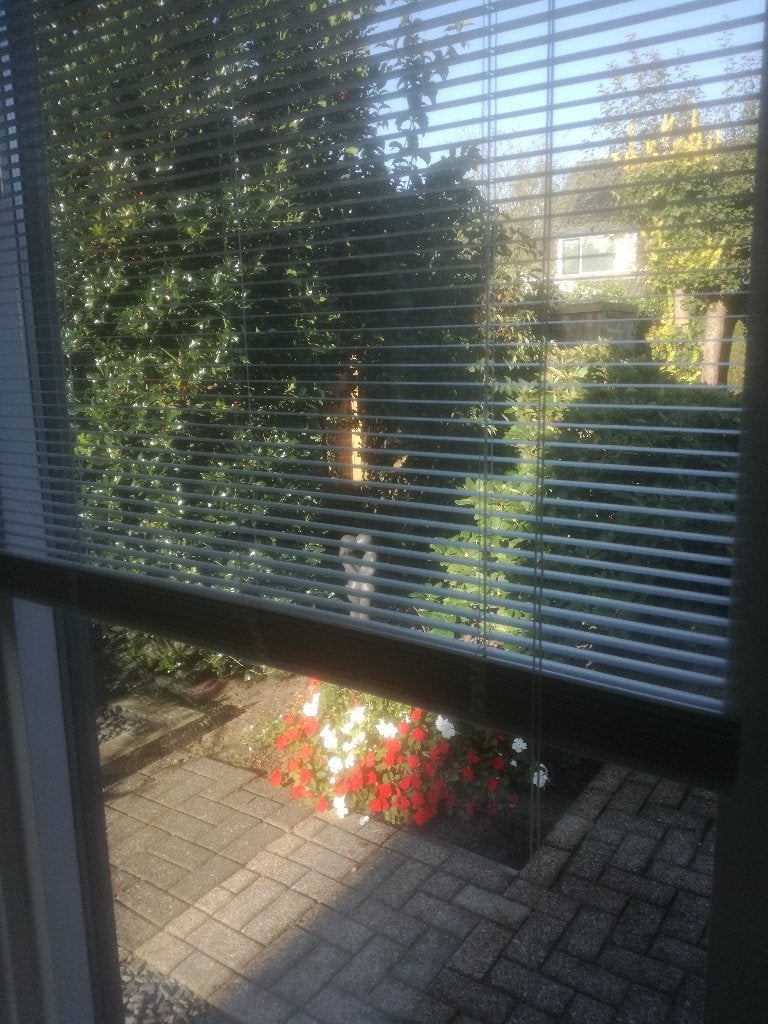 JALOEZIEEN (10 hor. + 1 vert.) 25 mm, diverse afmetingen!, Huis en Inrichting, Stoffering | Gordijnen en Lamellen, Zo goed als nieuw