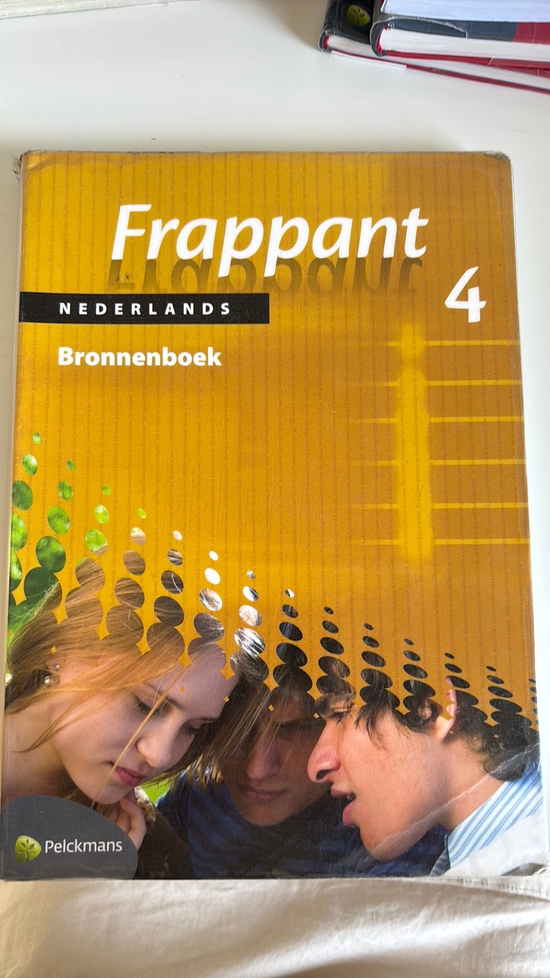 Frappant 4 bronnenboek, Boeken, Ophalen, Zo goed als nieuw, Nederlands