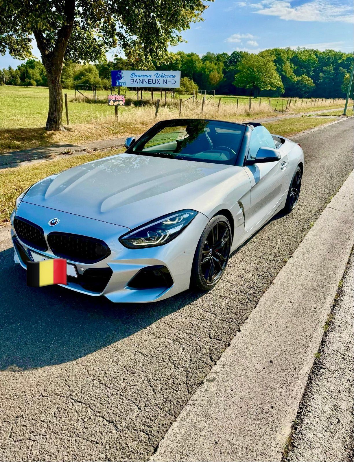 Bmw z 4 g29, Autos, BMW, Argent ou Gris, Achat, Cabriolet, Carnet d'entretien