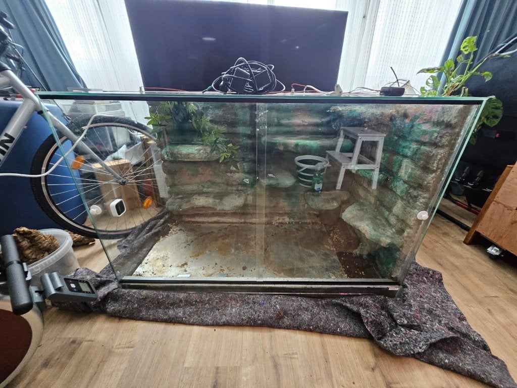 Groot ingericht glazen terrarium 120x60x82 ingericht, Animaux & Accessoires, Reptiles & Amphibiens | Accessoires, Utilisé, Terrarium ou Paludarium