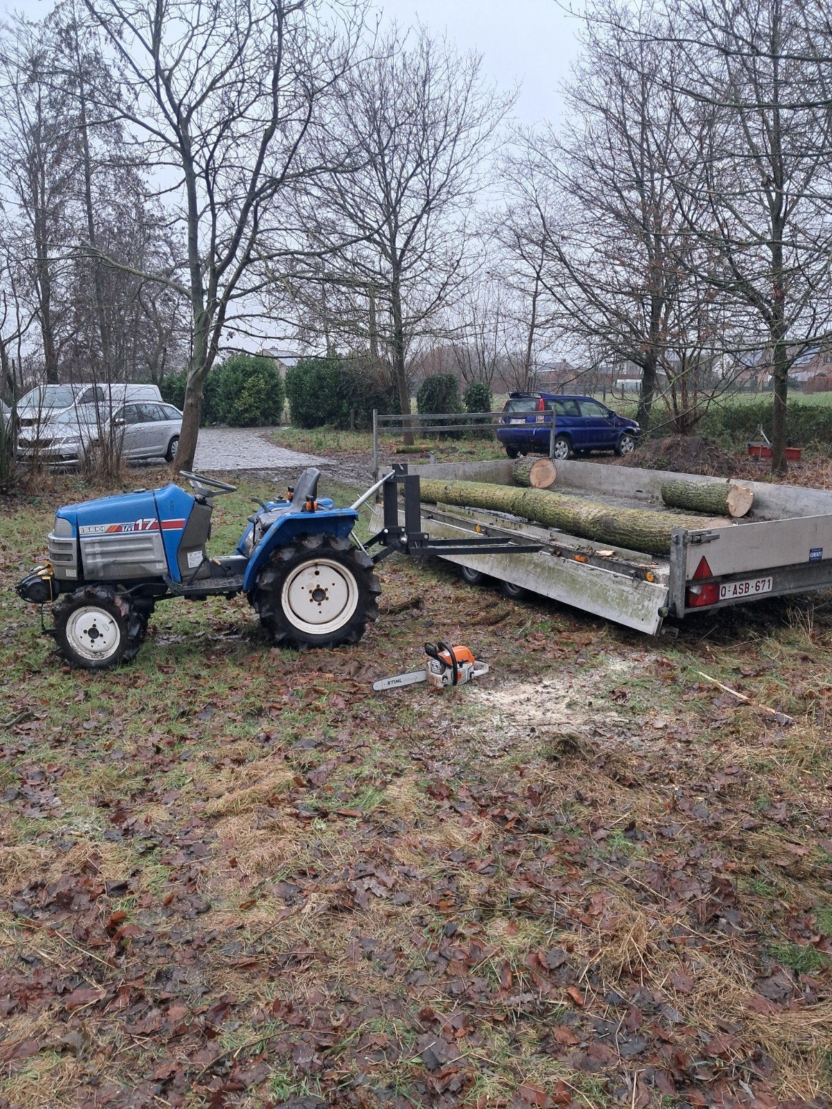 knotten van knotwilgen., Tuin en Terras, Ophalen, Stammen