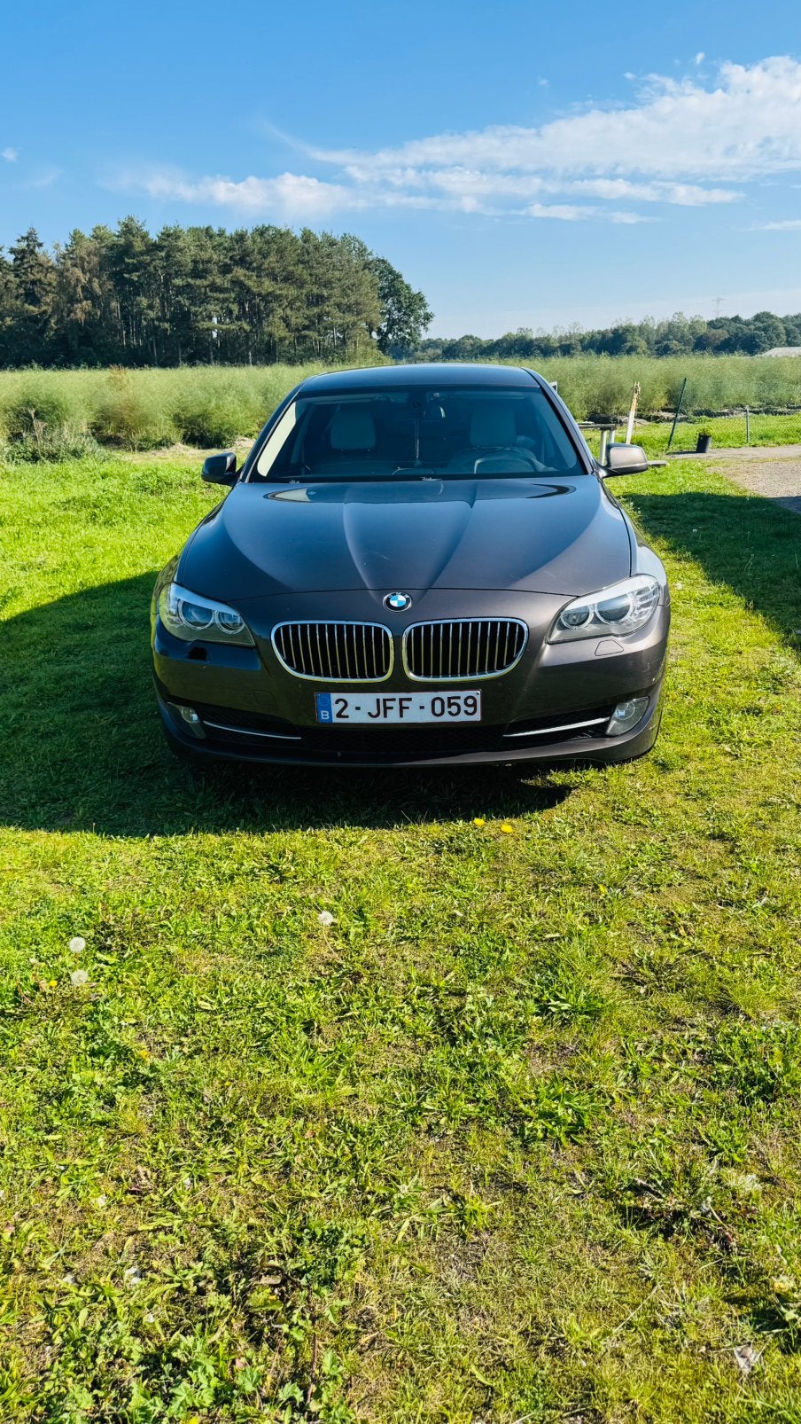 Bmw520, Auto's, Automaat, Euro 5, Achterwielaandrijving, Beige