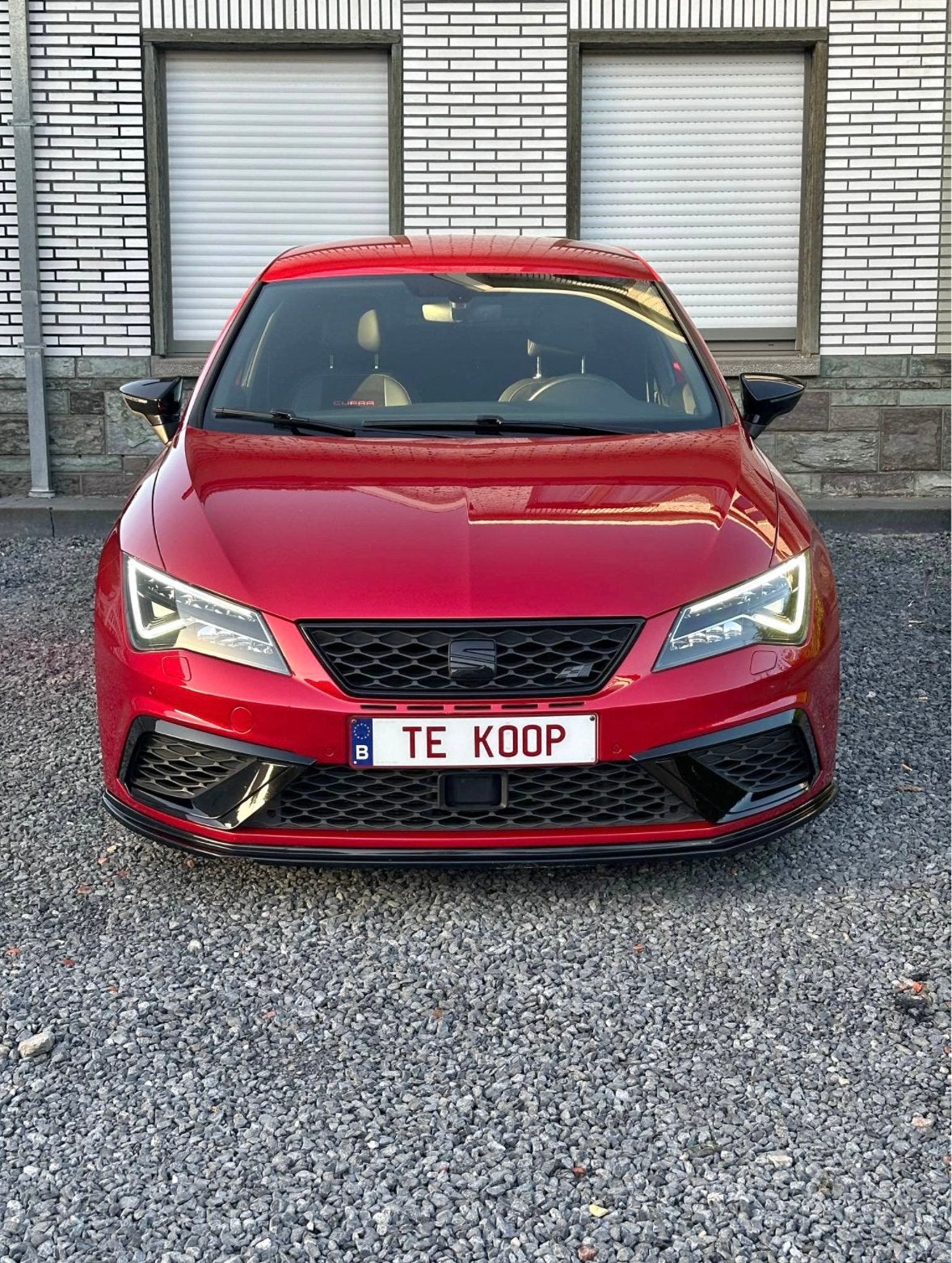 Seat Leon Cupra 300, Autos, Rouge, Euro 6, Alcantara, Noir