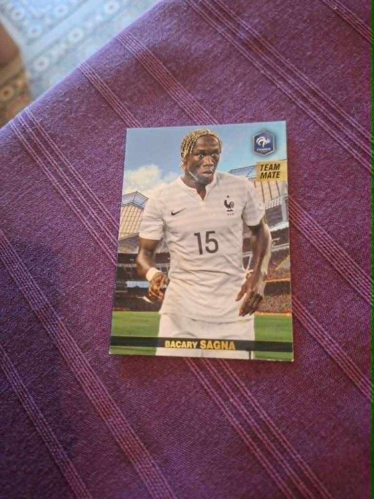 Panini / Voetbalkaart / Bacary Sagna / Frankrijk, Ophalen of Verzenden, Zo goed als nieuw, Spelerskaart