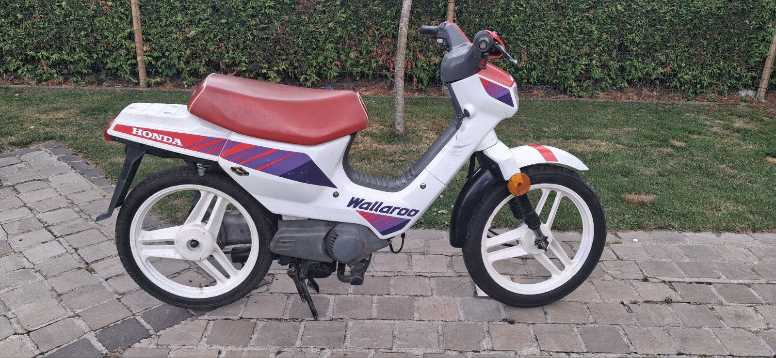 mobylette, Classe B (45 km/h), Enlèvement, Utilisé, Standard