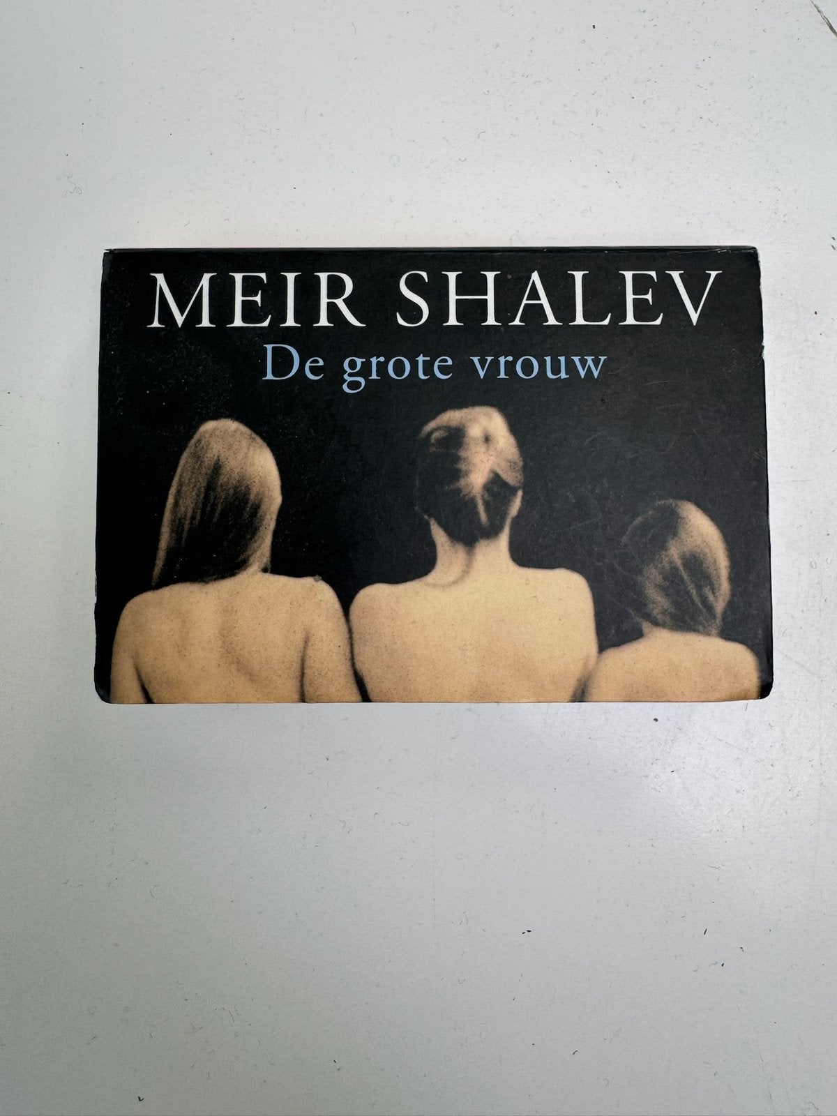 Dwarsligger 64 : De grote vrouw - Meir Shalev, Ophalen of Verzenden, Zo goed als nieuw