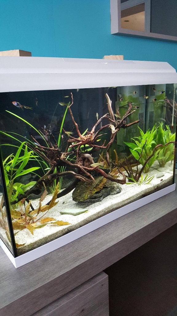 aquarium juwel primo 70 liter wit, Dieren en Toebehoren, Ophalen, Filter, Juwel