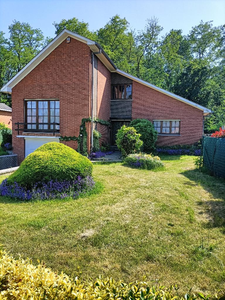 Maison 3 chambres, à louer à BOUSSU, Immo, Maisons à louer, Boussu, En direct du propriétaire, Province de Hainaut, 220 m²