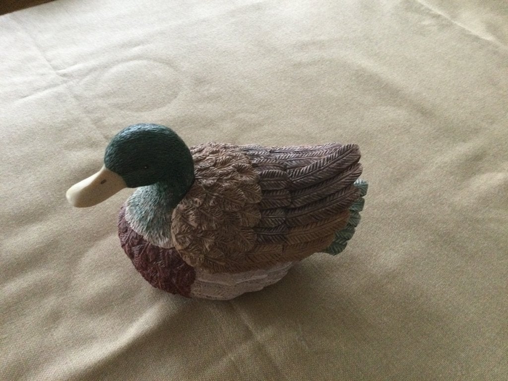 Canard décoratif, Enlèvement