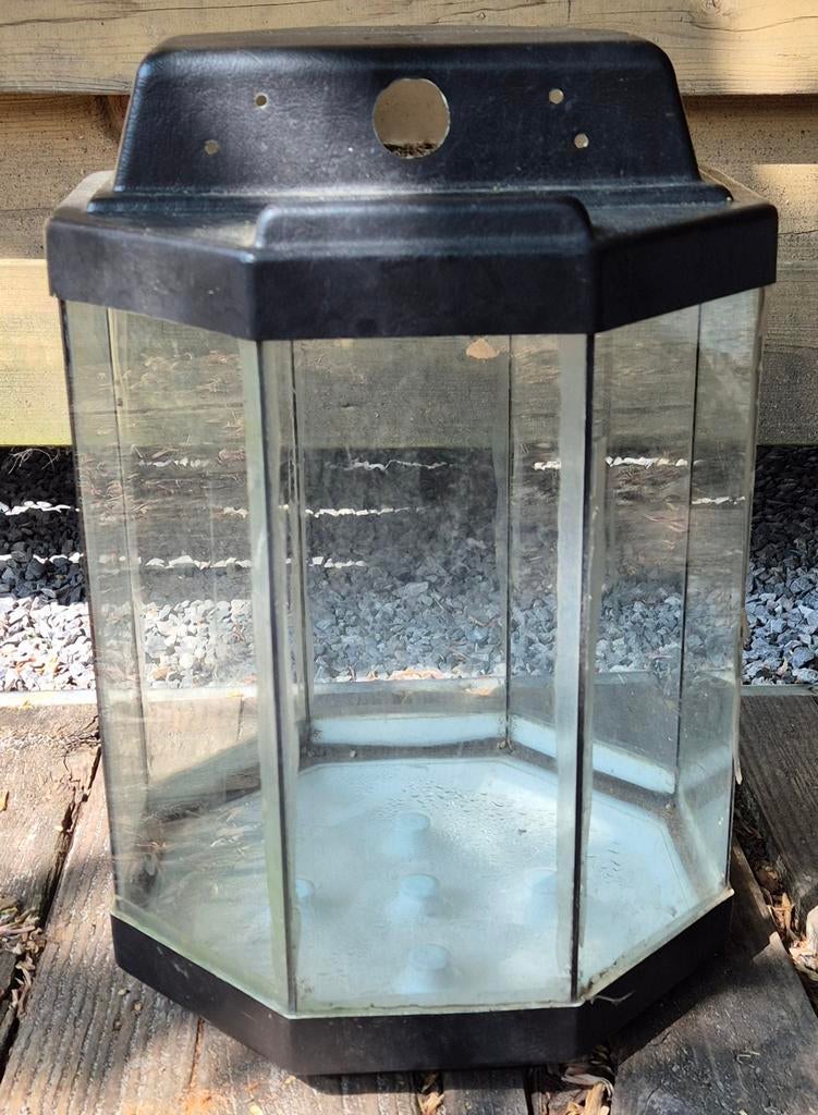 Terrarium, Dieren en Toebehoren, Ophalen