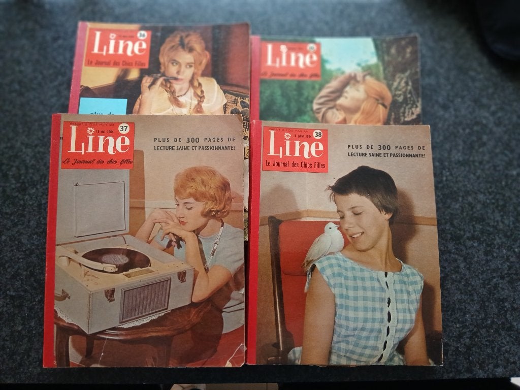Lot de magazines "Line" (Cuvelier), Enlèvement