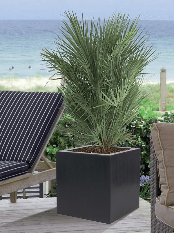 plantenbak, Tuin en Terras, Ophalen, Kunststof, 100 cm of meer, Vierkant