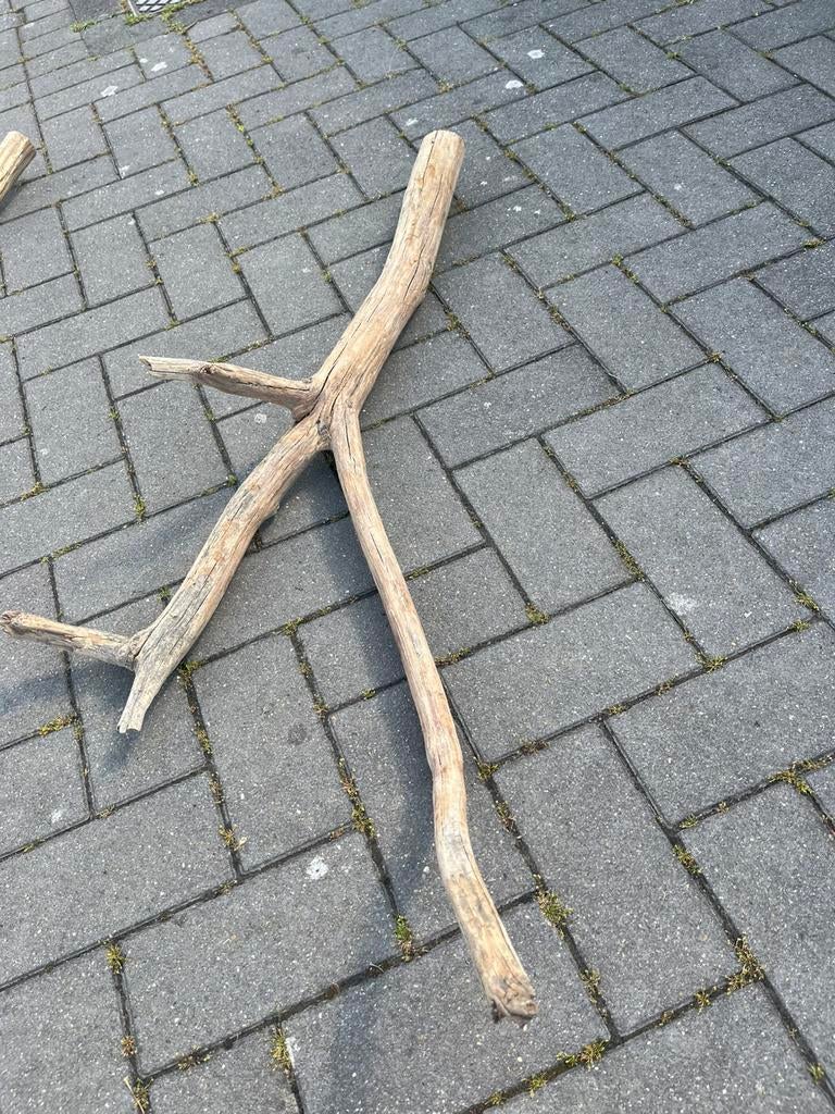 Terarium hout, Dieren en Toebehoren, Ophalen, Zo goed als nieuw